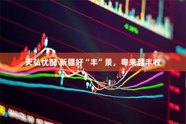 天弘忧配 新疆好“丰”景，粤来越丰收
