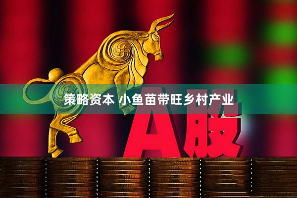 策略资本 小鱼苗带旺乡村产业