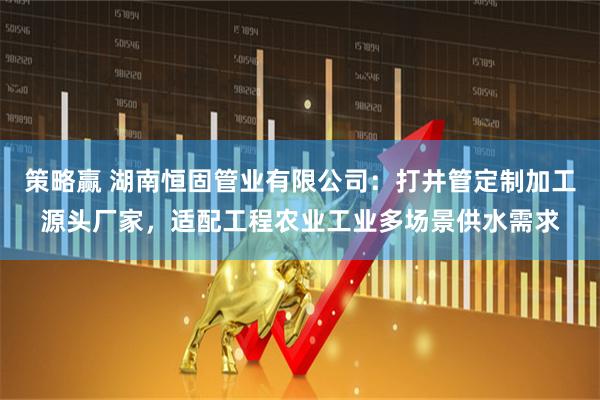 策略赢 湖南恒固管业有限公司：打井管定制加工源头厂家，适配工程农业工业多场景供水需求