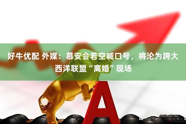 好牛优配 外媒：慕安会若空喊口号，将沦为跨大西洋联盟“离婚”现场