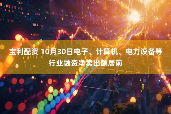 宝利配资 10月30日电子、计算机、电力设备等行业融资净卖出额居前